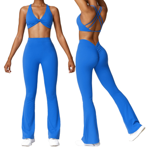 Ropa Deportiva en Oferta, Conjunto Deportivo de 2 Piezas, Top Deportivo y Leggings de Yoga para Mujer, Ropa Deportiva para Gimnasio y Fitness - Product Image 1