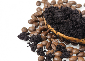 เวียดนามเป็นผู้จัดจำหน่ายกากกาแฟธรรมชาติสำหรับทำปุ๋ยหมัก เครื่องสำอาง ชีวมวล และวัสดุรักษ์โลก - Product Image 4