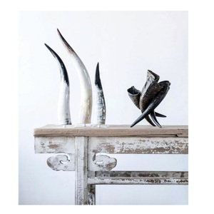 Bull Horn Decor Handmade Polished Wall Horns <b>table</b> top decorative items and customized size - Product Image 5