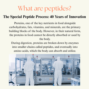 Japanese Peptide Nutrition Broth | High-Absorption Peptide <b>Protein</b> & Mineral Supplement | Additive-Free Functional Food - Product Image 5