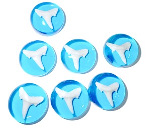 Dientes de Tiburón Artificiales Modernos de Plástico Cabujón, Redondos de 25x25 mm con Base Plana Azul Transparente para Manualidades y Joyería - Product Image 1