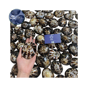 [MEJOR VENDIDO] |   Suministro de Conchas de Limpet Azules Trituradas |   Material para proyectos de bricolaje de posavasos de resina, Vietnam - Product Image 1
