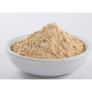 Polvo de Ajo Fino Premium para Formulaciones Alimentarias Instantáneas, Exportador de la India al Mejor Precio - Product Image 1