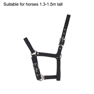Harnais d'entraînement équestre en nylon, sangle douce au toucher, coutures renforcées, réglable et confortable - Product Image 6
