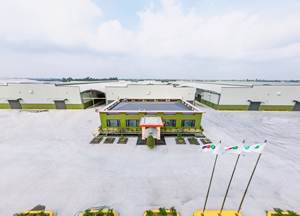 ชุดเครื่องบรรจุอาหารพีพี CaCO3 PP4300จากโรงงานในเวียดนามสำหรับการฉีดขึ้นรูปช่วยประหยัด20% บริสุทธิ์สำหรับถุงทอ Raffia fibc - Product Image 5