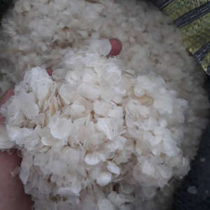 Protéine naturelle de collagène d'Ossein d'écailles de poisson pour des applications de capsule, de comprimé, et de boisson - Product Image 2