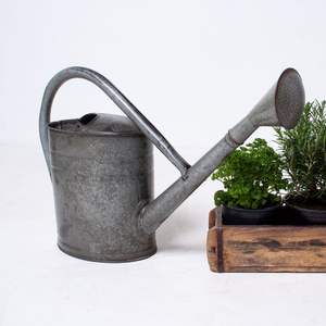 Arrosoir de jardin en métal élégant, outil de jardinage parfait pour arroser les plantes de balcon, les herbes et les fleurs - Product Image 5