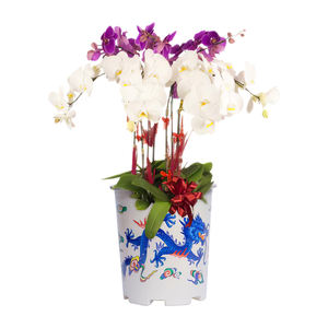 Maceta de forma redonda, duradera y elegante, perfecta para interiores/exteriores, ideal para flores o vegetación, agrega elegancia a cualquier hogar - Product Image 1