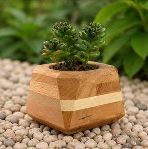 Maceta Geométrica de Madera Hecha a Mano para Suculentas, Moderna Maceta de Madera Sólida para Decoración de Escritorio, Hogar y Jardín Interior - Product Image 2