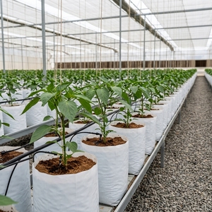 Plastic Coco Grow Bags Eco-Friendly Biodegradable High-Yield for Flower <b>Gardening</b> Planting and Greenhouse Agriculture - Product Image 4