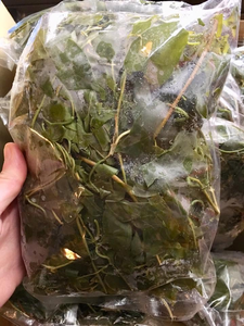 Feuilles de plantes grimpantes congelées du Vietnam pour soupes et ragoûts, IQF, coupées entièrement, 3,5 oz, 7 oz, emballage de vente au détail - Product Image 5