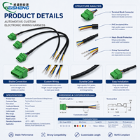Câble de raccordement 4 conducteurs 22AWG avec bornier Phoenix 2-4 broches, pas de 5,08 mm
