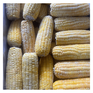 Maíz Congelado IQF elaborado con granos de maíz frescos para la producción de comidas preparadas, sopas y mezclas de verduras. Proveedor de Vietnam. - Product Image 1