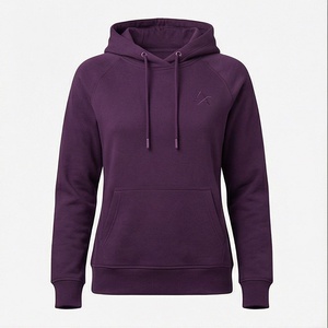 Plain Pullover Hoodies Ladies Hooded <b>Top</b> Casual <b>Thermal</b> Customized High Quality Women Apparel Sweatshirts Winter <b>Top</b> - Product Image 1