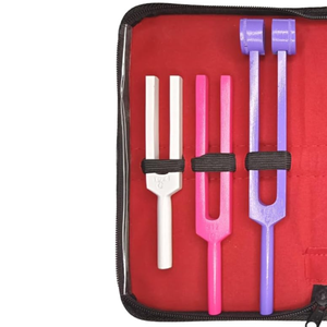 Ensemble de diapasons cliniques en aluminium à 4 canaux avec 5 diapasons et marteau W réglable pour tests médicaux et neurologiques - Product Image 3