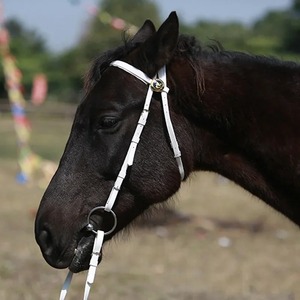 Cabestro de Nailon Resistente al por Mayor para Carreras de Caballos, Uso Ecuestre, Impermeable, con Estilo de Silla Inglesa - Product Image 6