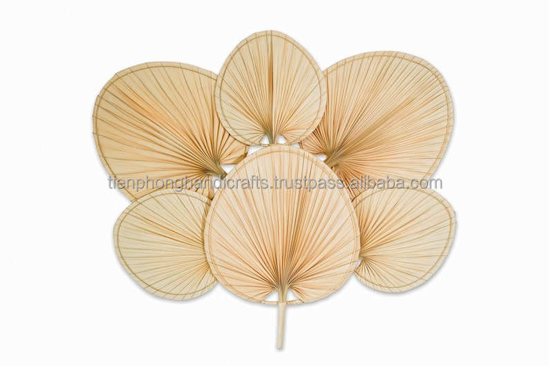 สีงาช้าง