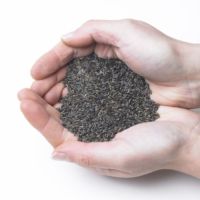 Graines de qualité export, soigneusement nettoyées, à forte teneur en huile, pour applications alimentaires, y compris les graines de Niger