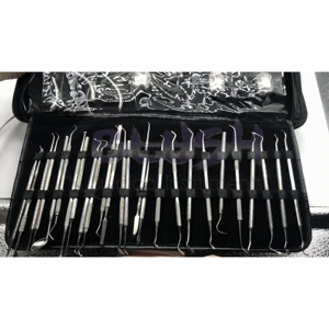 Dental Oral Instrument Kit Stainless Steel Manual Forceps Extracting Elevators Set Reusable Ergonomic by <b>Blush</b> Surgical - Product Image 2