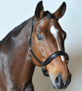 Harnais de cheval en cuir de qualité supérieure, réglable, confortable, pour l'entraînement, Y&Z Enterprises LTR-HALT-0043, taille personnalisable - Product Image 1