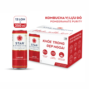 Hot Selling Pomegranate Kombucha Drink 250ml Star Kombucha Brand Fermented Tea <b>Beverage</b> Competitive Price Wholesale Export - Product Image 3
