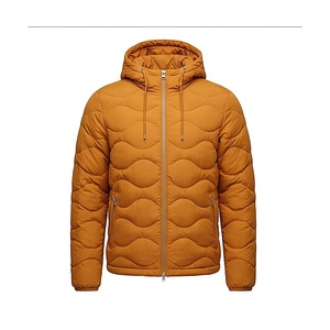 Hooded Quilted Waterproof <b>Bubble</b> Jacket Black Full Sleeve Winter Windproof Cotton Shell Knitted Fabric Polyester Filling Stand - Product Image 1