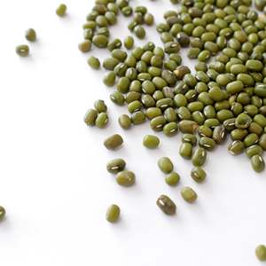 Proveedor mayorista de frijoles mung verdes frescos a granel / frijoles moong enteros de alta calidad y gran stock con envío rápido a Austria - Product Image 3