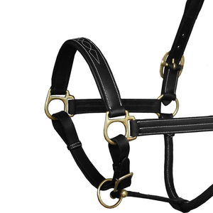 Halter de Entrenamiento Diario Premium, Hecho a Mano, Cómodo, de Cuero, Ajustable, Duradero, Acolchado Suave, Diseño Elegante - Product Image 5