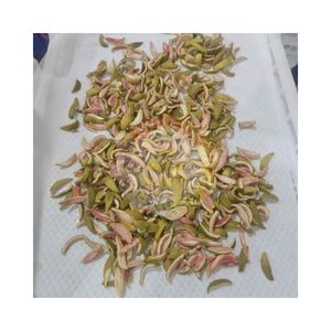 Tranches de goyave séchées 99 Gold Data, douces, salées et épicées, du Vietnam, 100g, 200g, 500g, emballage sous vide, collation naturelle végétalienne - Product Image 6
