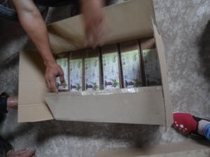 Brique de coco haute compression 5 kg, substrat en fibre de coco - Product Image 3