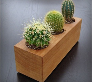 Support de Plantes Minimaliste Moderne en Lot, Fait Main, Qualité Supérieure, Excellent Travail, Vente en Gros, Prix d'Usine - Product Image 3