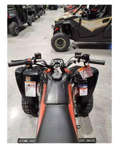 BONNES AFFAIRES NOUVEAUTÉ 2024 Can-Am DS 250 - Product Image 3