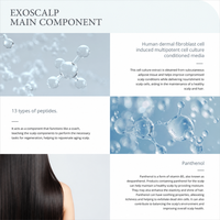 CMED Professional Scalp Care Peptides Panthenol Powder Solution Set CMED-EXOSCALP Penguat Akar Rambut Melembapkan Kulit Kepala