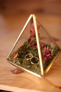 Terrario Geométrico de Vidrio y Metal con Planta Aérea Colgante, Decoración Elegante de Forma Cuadrada, Exhibición de Flores Preservadas - Product Image 6