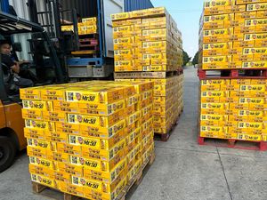 Bebida Energética de 250 ml (8.45 fl oz), Cartón de 24 Latas, Sin Azúcar, Fórmula Fuerte, OEM, ODM, Marca Privada, Muestra Gratuita - Product Image 2