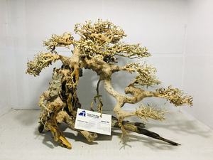 New Item Driftwood Reptile Branch Driftwood for Aquarium Landscape Wood Fish <b>Tank</b> Decoration From Vietnam For Wholesalers - Product Image 2