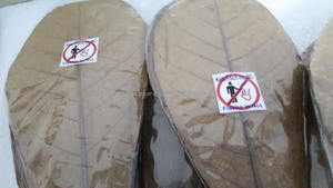 Hojas de Catappa (Almendro de la India) de 11 cm a 18 cm (4 a 7 pulgadas) 20 Unidades Accesorio para Mascotas de Acuario de Primera Calidad - Product Image 2