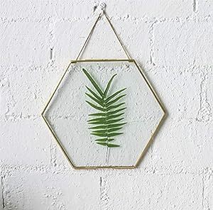 Cadre photo mural décoratif en verre transparent avec bordure en laiton en forme d'hexagone, design feuille, finition dorée, best-seller pour la maison et le bureau - Product Image 4