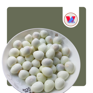HUEVOS DE CODORNIZ ENLATADOS ECOLÓGICOS DE 15 oz EN SALMURAS, HUEVOS DE CODORNIZ ENTREGOS Y PELADOS LISTOS PARA COMER, IDEALES PARA HOTPOT, RAMEN, SOPA, BAOZI Y SNACKS - Product Image 1