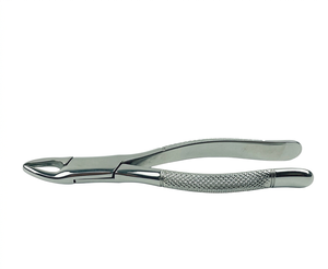 Pinzas de Extracción Dental de Acero Inoxidable con Patrón Inglés, Empuñadura Moleteada Plateada, para Extracción Manual de Dientes Caninos y Premolares Inferiores - Product Image 1
