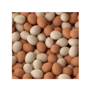 Huevos Frescos de Gallina de Corral Marrones y Blancos Marca Egga 20g Lop Buri Farm Supply Servicio de Alimentos Venta al por Mayor - Product Image 1