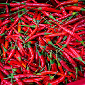 Chiles Rojos Secos de Primera Calidad, Secados al Aire (AD), Picantes, Sin Tallo, Estándar de Exportación, Especias Individuales, Hierbas de Gujarat - Product Image 6