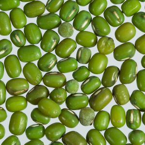 High Quality Dried <b>Green</b> Mung Beans Supplied For International Importers With Natural Processing And Secure Bulk Packaging - Product Image 6