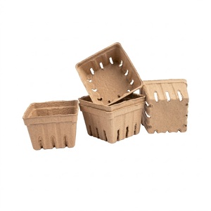 Emballage pour fruits écologique, anti-casse, compostable, plateau en pulpe moulée, plateau pour fruits frais, fabricant vietnamien, boîtes en papier - Product Image 5