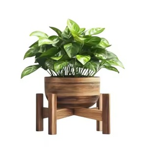 Nuevo juego de soportes de madera para macetas con macetas de cerámica blancas para uso en interiores con plantas verdes, soporte de madera para plantas - Product Image 2