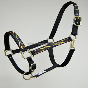 Cabestro de nailon hecho a mano, diseño duradero, hecho a mano, en muchos colores, con diseño de llama impresa, hardware de latón - Product Image 2