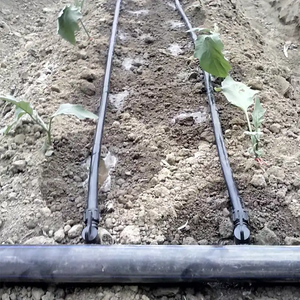 Ruban goutte à goutte 0.7LPH espacement de 12cm pour les cultures de racines de carottes/radis - Product Image 6