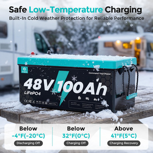 แบตเตอรี่ 48V 100Ah 5.12kWh LiFePO4 เกรด EV เซลล์เกรด A 6000 รอบการใช้งาน 100A BMS ป้องกันการชาร์จเกิน ป้องกันความร้อนเกิน สำหรับโซลาร์บ้าน - Product Image 5