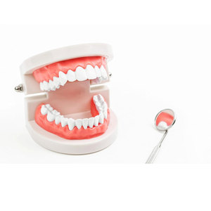 Kit de 3 pièces en acier inoxydable pour le nettoyage dentaire : gratte-tartre, pince dentaire et miroir buccal pour cabinet dentaire, usage domestique et soins dentaires pour animaux de compagnie - Product Image 4