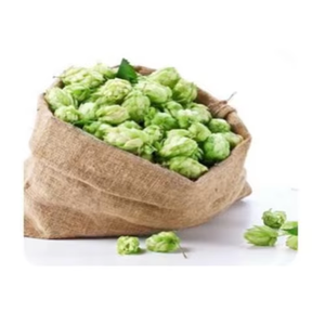 Poudre d'extrait de houblon 60% Xanthohumol séchée par atomisation, extrait végétal naturel de qualité alimentaire - Product Image 3